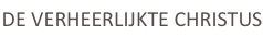 shapeimage_2_link_3